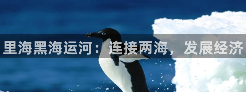 公海赌赌船贵宾会员检测路线