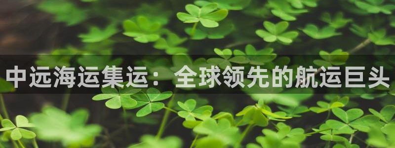 公海赌船网页