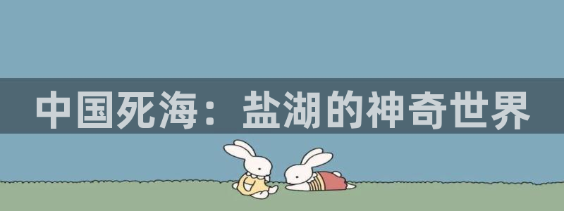 欢迎你来到 公主的海岛