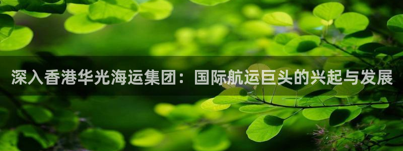 在公海赌博犯法吗