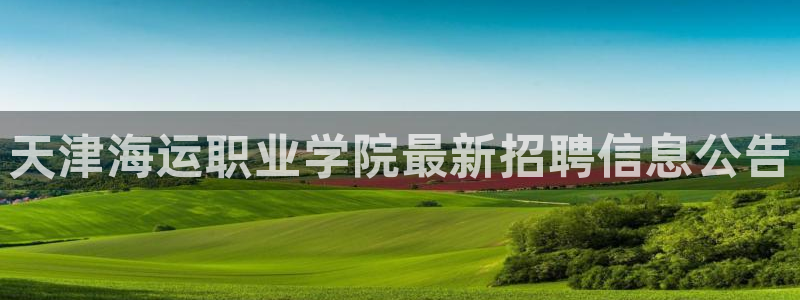 公海赌赌船官网图标