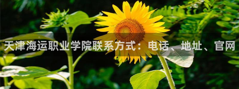 欢迎您来到公海欢迎来到赌船