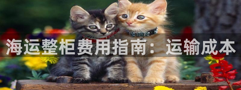 欢迎来到公海电脑版