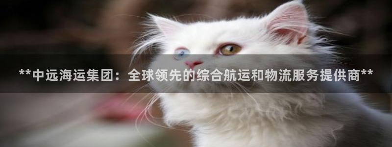 欢迎来到海边