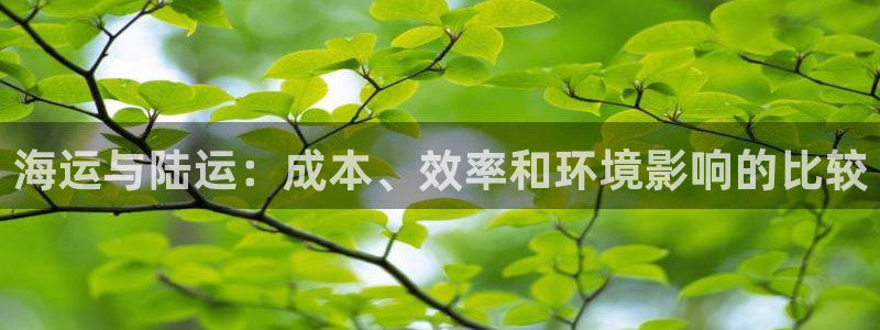 公海赌钱公安会抓吗