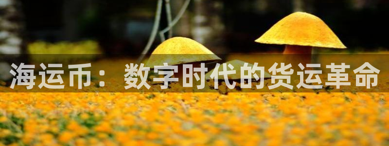 欢迎来到公海