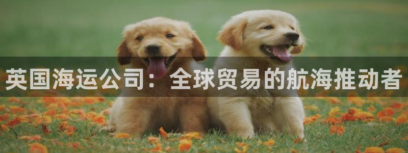 公海赌船官网下载