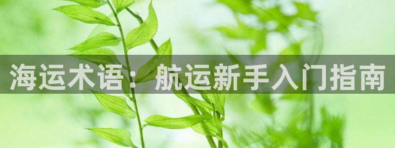 欢迎来到海牛星简谱