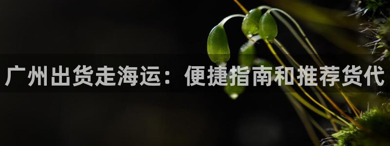 欢迎您来到公海欢迎来到赌船