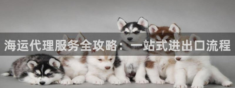 公海赌赌船官网jc7