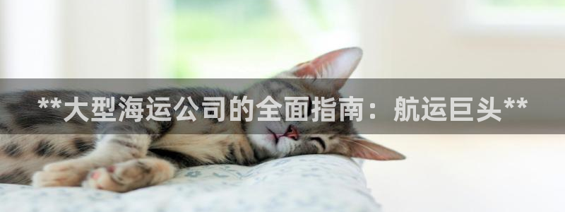 公海赌赌船维护多久