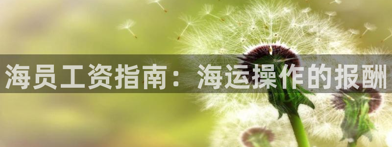 欢迎你来到公主的海岛