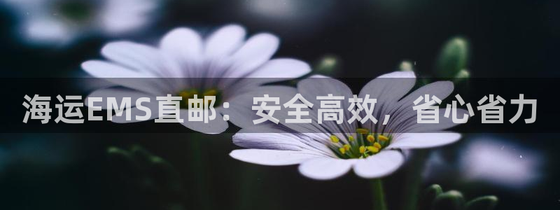 公海欢迎来到赌船