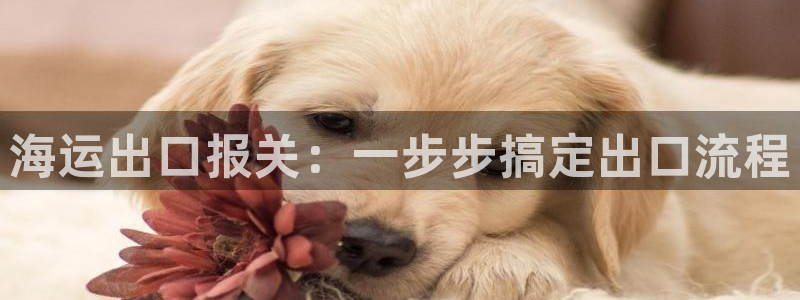欢迎来到公海堵船