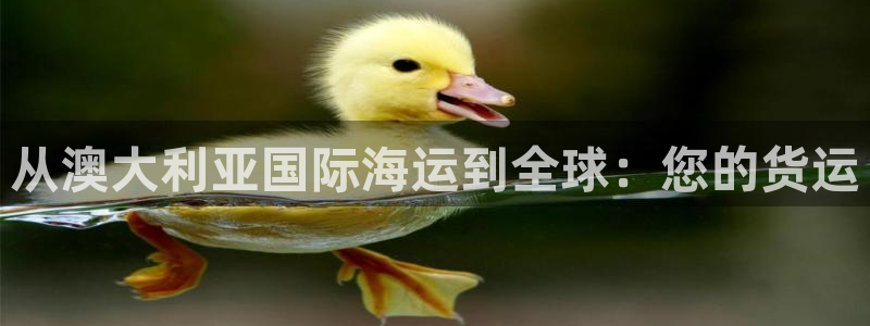 公海赌赌船官网是真的吗