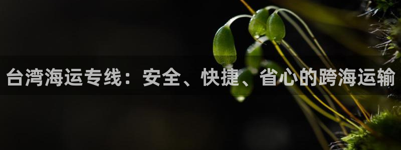 公海赌赌船官网jc710公海