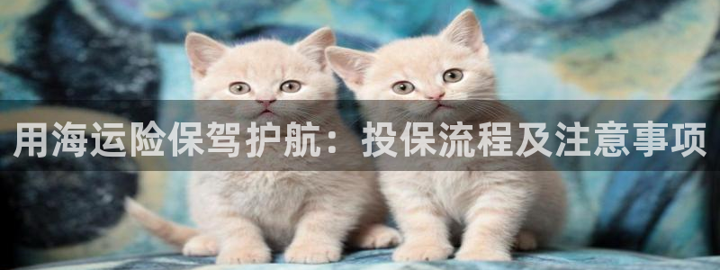 欢迎上船