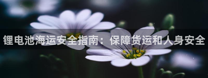 公海赌博为什么没人管