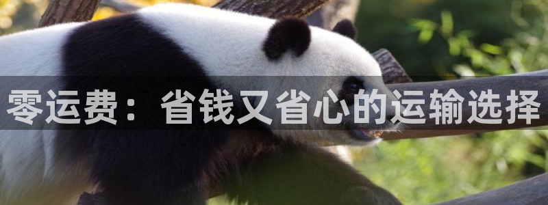 公海赌赌船官网