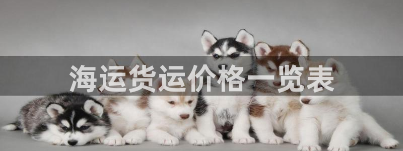 欢迎您来到公海欢迎您来到赌船