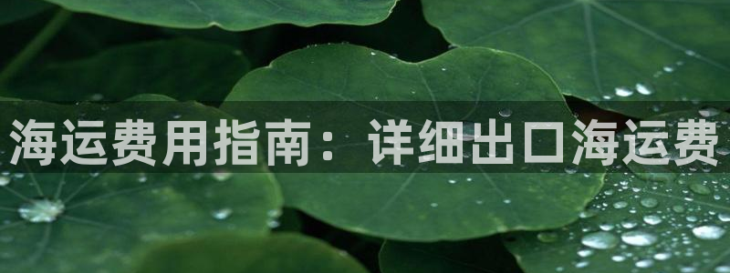 欢迎来到公海710线路是多少