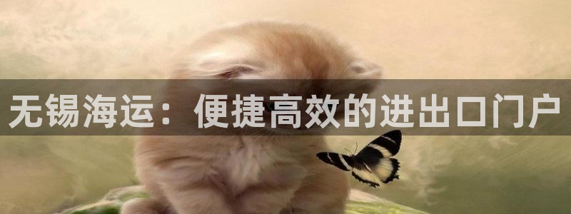 欢迎您来到公海