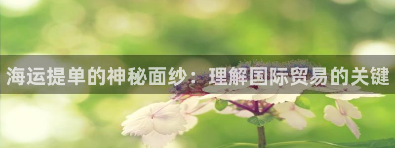 公海赌船赌博