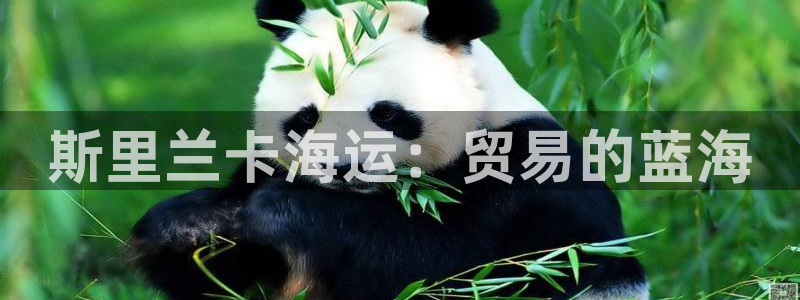 欢迎你来到公海欢迎你来到赌船701
