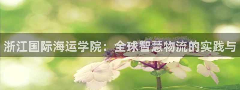 欢迎你来到公主的海岛