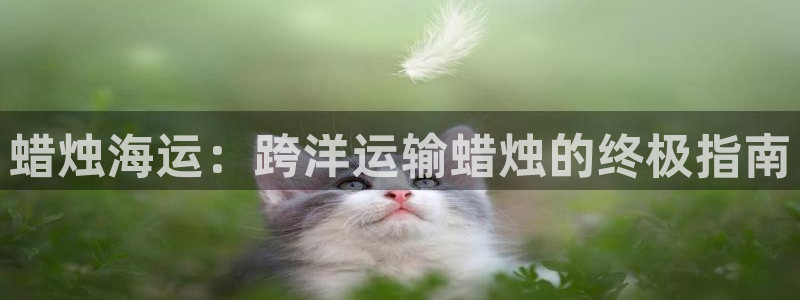 欢迎来到公海555000