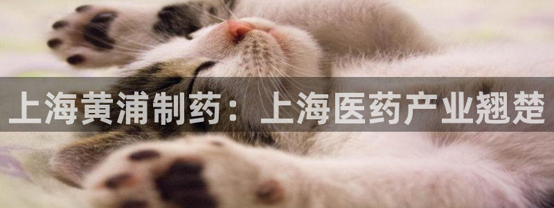 欢迎你来到公海 赌船