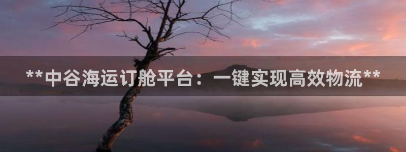 公海赌钱违法吗