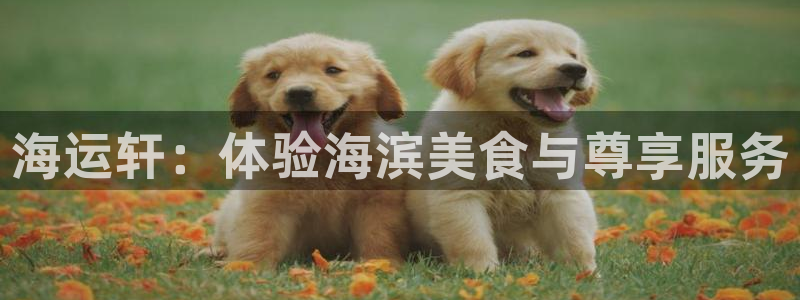 公海赌钱违法吗