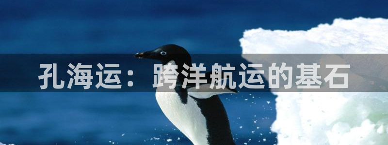 公海赌博为什么没人管