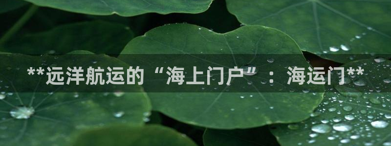 公海 赌船710手机版下载官方