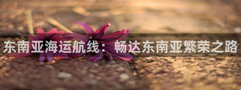 去公海赌博合法吗