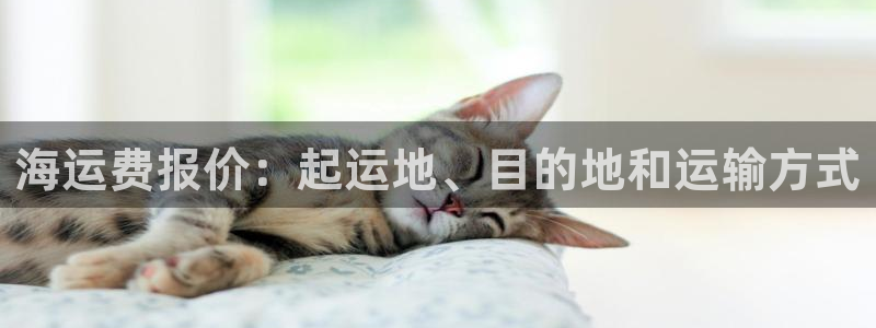 公海赌赌船最新版本更新内容