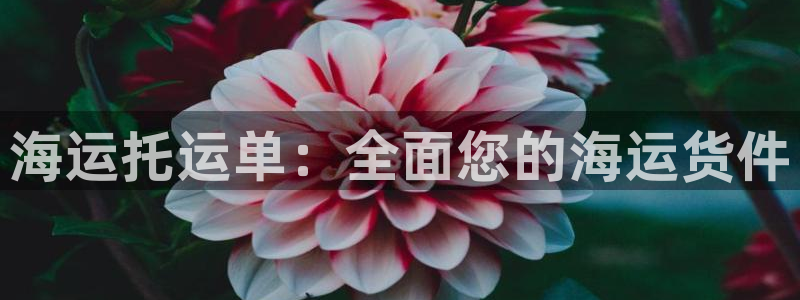 欢迎你来到公海赌