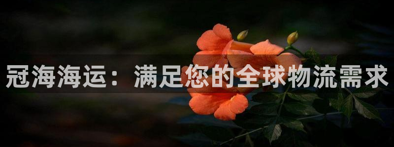 欢迎你来到公海 赌船