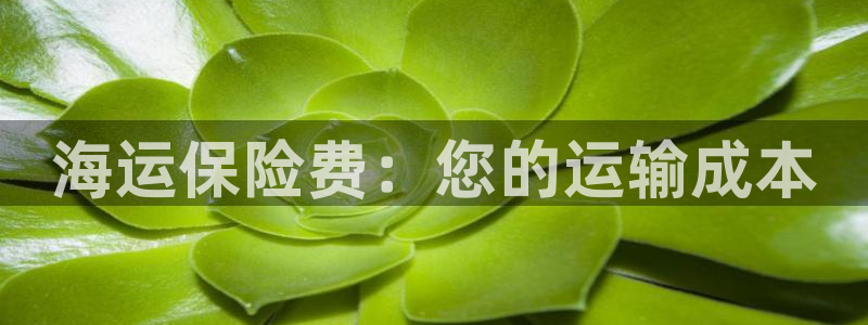 欢迎你来到公海 赌船