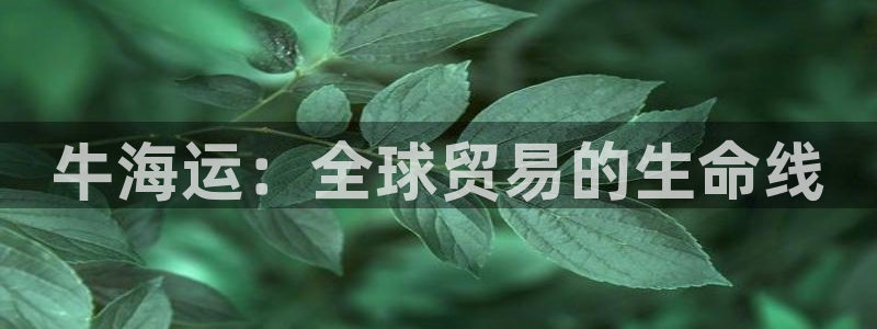 公海 赌船710手机版下载官方