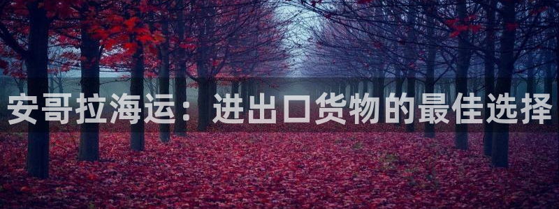 公海赌赌船贵宾会员检测路线