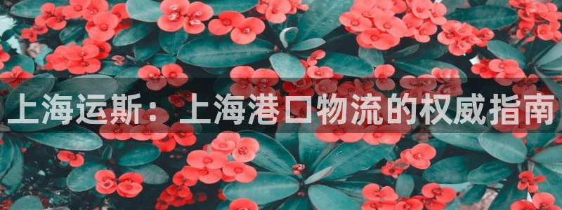 公海赌赌船官网真的吗