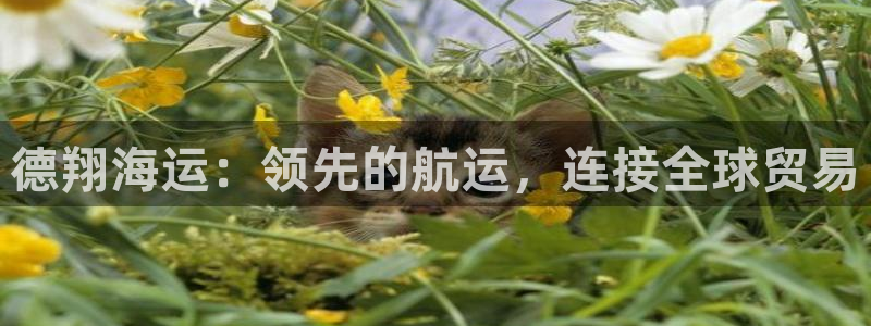 公海赌赌船710检测路线